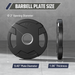 Major Fitness Rubber Coated Olympic Cast Iron Grip Plates