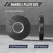 Major Fitness Rubber Coated Olympic Cast Iron Grip Plates