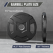 Major Fitness Rubber Coated Olympic Cast Iron Grip Plates