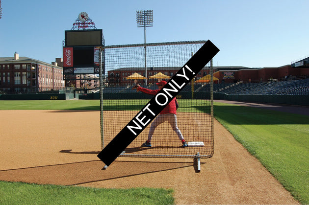 Replacement Fungo Screen Net