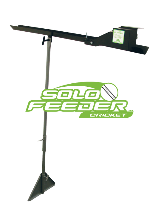 Solo Feeder – Cricket - Image 1