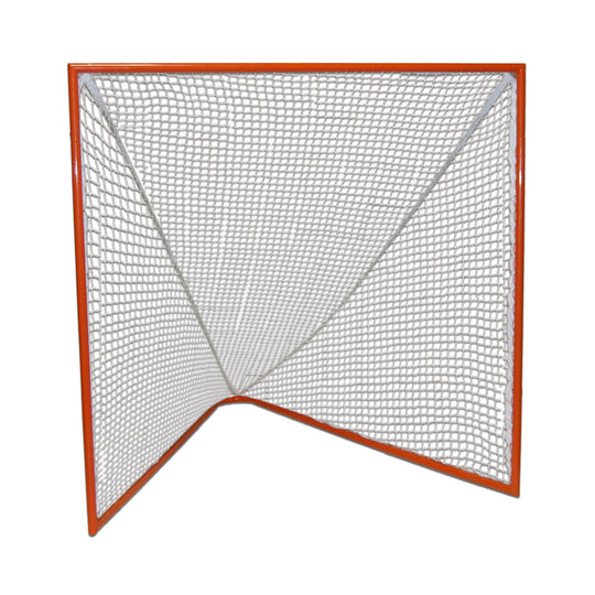 Lacrosse Practice Goal