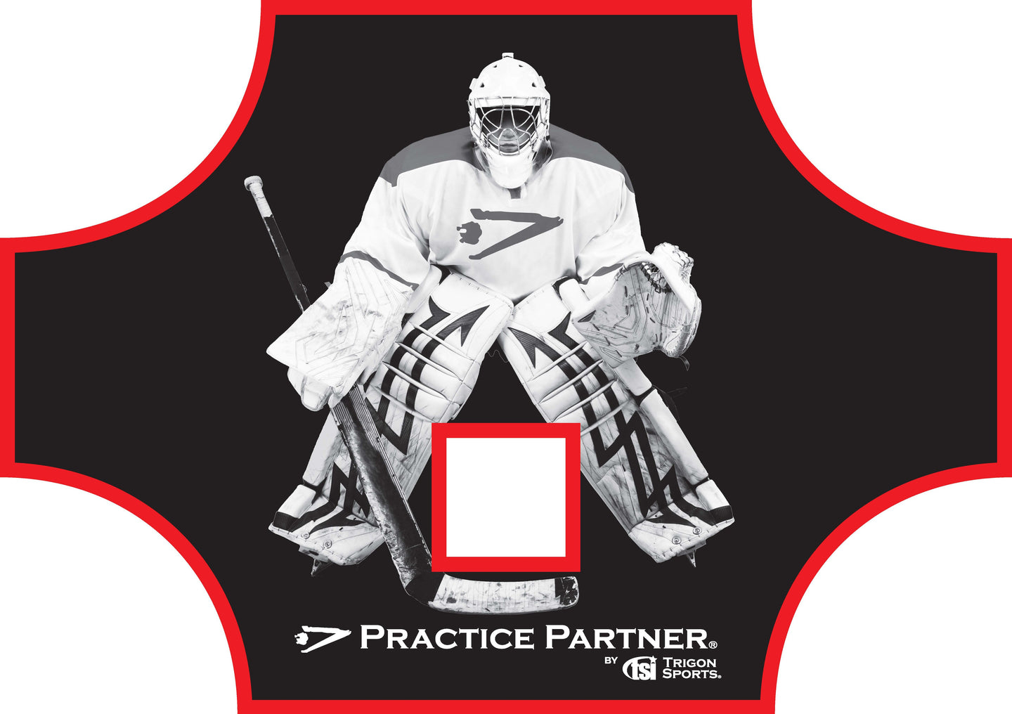 Practice Partner Hockey Goal Target